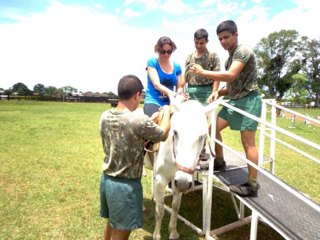 Centro Hípico - 2º RCMec - Alessandra